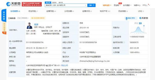 关联公司注册资本增至5.3亿美元，增幅约10.4%，彰显网络技术服务领域强劲增长动能